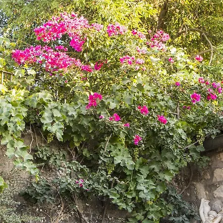 Baglio Ori * Ραγκούσα
