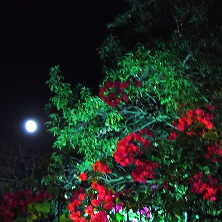 Bed and Breakfast Baglio Ori Ραγκούσα